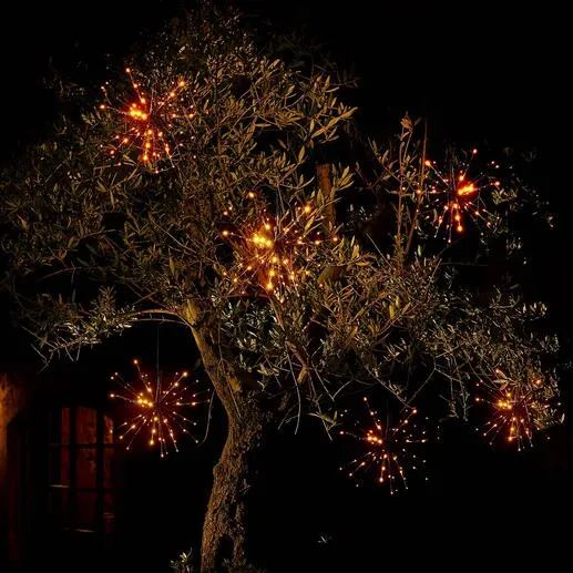 Guirlande lumineuse étoile polaire